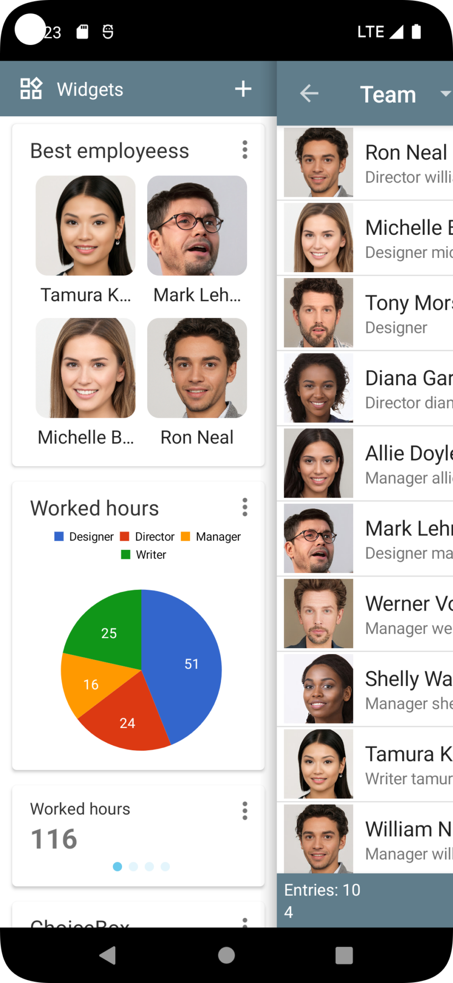 Widgets Overview – Memento Database Help